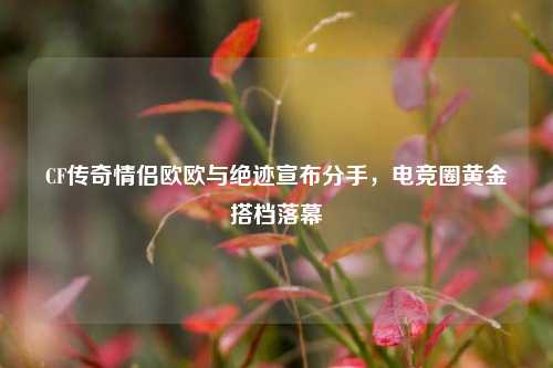 CF传奇情侣欧欧与绝迹宣布分手,电竞圈黄金搭档落幕