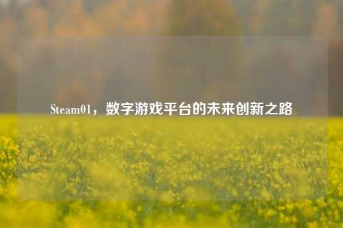 Steam01,数字游戏平台的未来创新之路