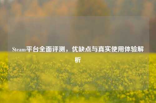Steam平台全面评测,优缺点与真实使用体验解析