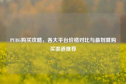 PUBG购买攻略,各大平台价格对比与最划算购买渠道推荐