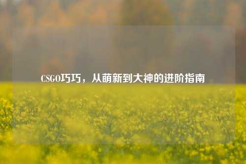 CSGO巧巧,从萌新到大神的进阶指南