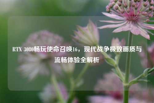 RTX 3080畅玩使命召唤16,现代战争极致画质与流畅体验全解析