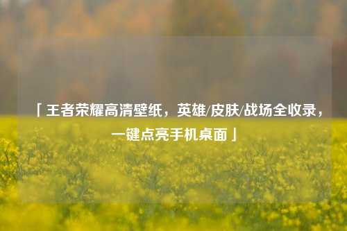 「王者荣耀高清壁纸,英雄/皮肤/战场全收录,一键点亮手机桌面」