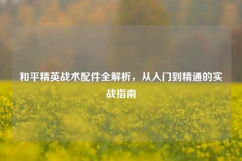 和平精英战术配件全解析,从入门到精通的实战指南