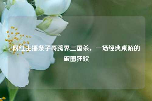 网红主播条子哥跨界三国杀,一场经典桌游的破圈狂欢