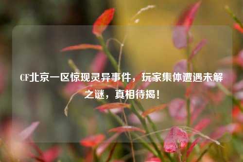 CF北京一区惊现灵异事件,玩家集体遭遇未解之谜,真相待揭!