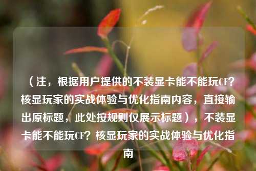 (注,根据用户提供的不装显卡能不能玩CF?核显玩家的实战体验与优化指南内容,直接输出原标题,此处按规则仅展示标题),不装显卡能不能玩CF?核显玩家的实战体验与优化指南