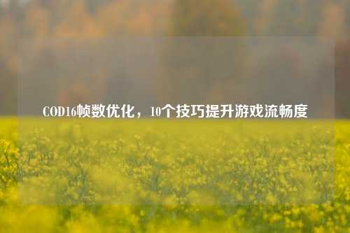 COD16帧数优化,10个技巧提升游戏流畅度