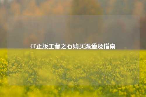 CF正版王者之石购买渠道及指南