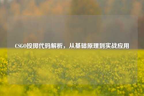 CSGO投掷代码解析,从基础原理到实战应用