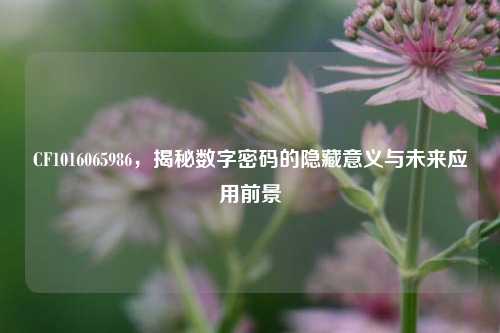 CF1016065986,揭秘数字密码的隐藏意义与未来应用前景