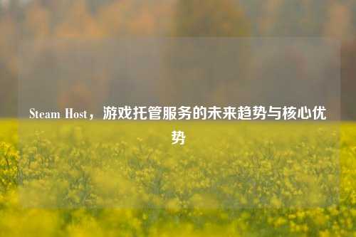 Steam Host,游戏托管服务的未来趋势与核心优势