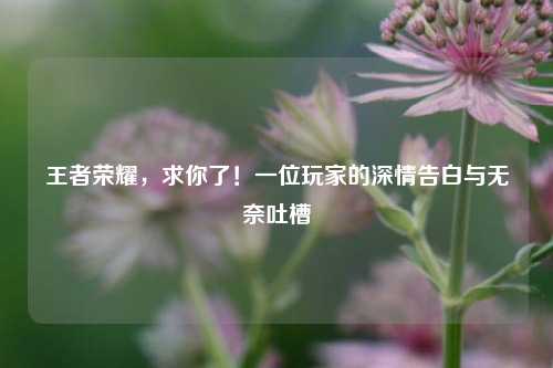 王者荣耀,求你了!一位玩家的深情告白与无奈吐槽