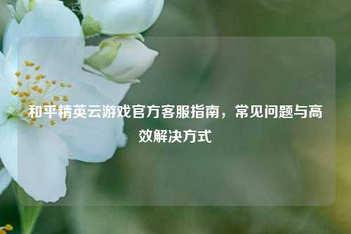 和平精英云游戏官方客服指南,常见问题与高效解决方式