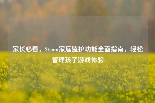 家长必看,Steam家庭监护功能全面指南,轻松管理孩子游戏体验