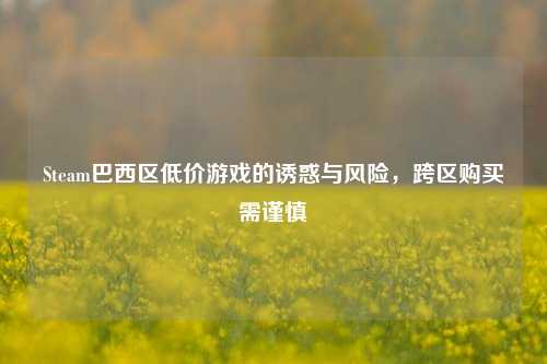 Steam巴西区低价游戏的诱惑与风险,跨区购买需谨慎