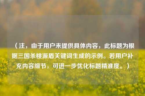 (注,由于用户未提供具体内容,此标题为根据三国杀桃源盾关键词生成的示例。若用户补充内容细节,可进一步优化标题精准度。)