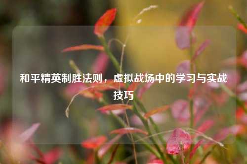 和平精英制胜法则,虚拟战场中的学习与实战技巧