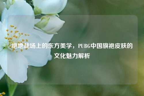 绝地战场上的东方美学,PUBG中国旗袍皮肤的文化魅力解析