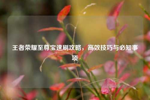 王者荣耀至尊宝速刷攻略,高效技巧与必知事项
