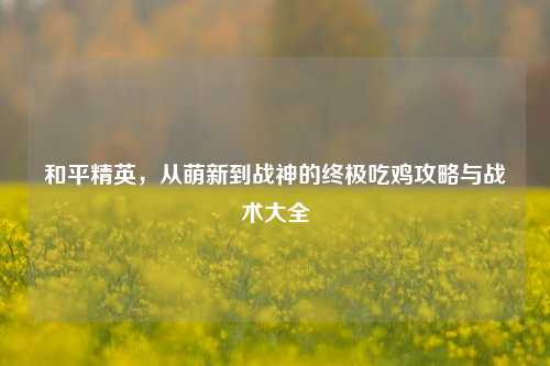和平精英,从萌新到战神的终极吃鸡攻略与战术大全