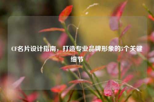CF名片设计指南,打造专业品牌形象的5个关键细节