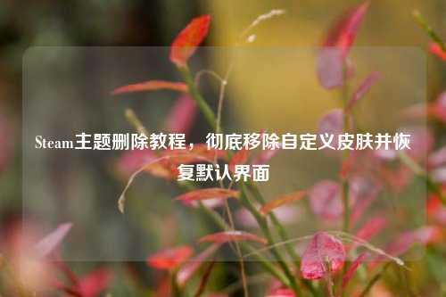 Steam主题删除教程,彻底移除自定义皮肤并恢复默认界面