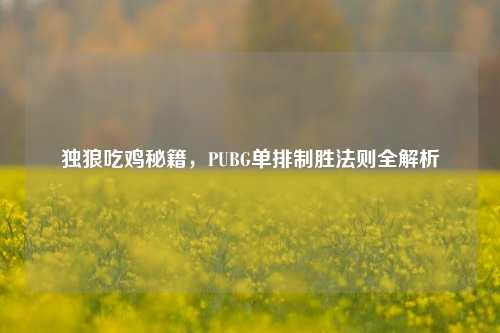 独狼吃鸡秘籍,PUBG单排制胜法则全解析
