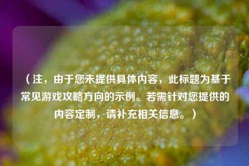 (注,由于您未提供具体内容,此标题为基于常见游戏攻略方向的示例。若需针对您提供的内容定制,请补充相关信息。)