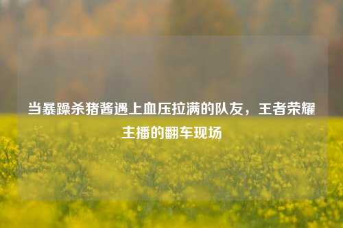 当暴躁杀猪酱遇上血压拉满的队友,王者荣耀主播的翻车现场