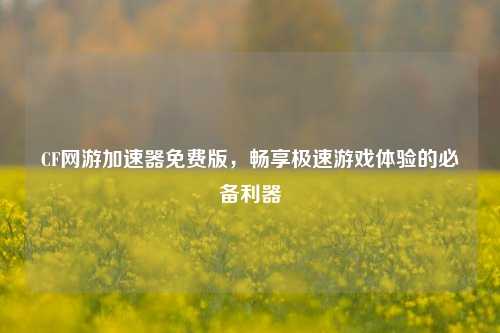 CF网游加速器免费版,畅享极速游戏体验的必备利器