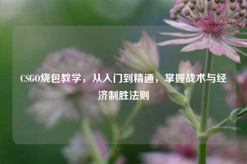 CSGO烧包教学,从入门到精通,掌握战术与经济制胜法则
