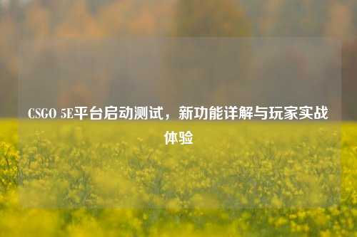 CSGO 5E平台启动测试,新功能详解与玩家实战体验