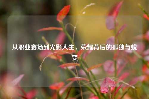 从职业赛场到光影人生,荣耀背后的孤独与蜕变