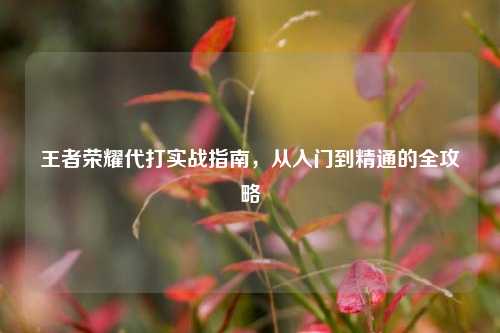 王者荣耀代打实战指南,从入门到精通的全攻略