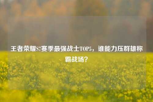 王者荣耀S7赛季最强战士TOP5,谁能力压群雄称霸战场?