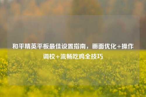 和平精英平板最佳设置指南,画面优化+操作调校+流畅吃鸡全技巧