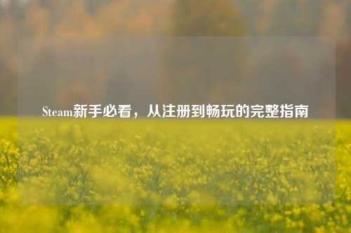 Steam新手必看,从注册到畅玩的完整指南