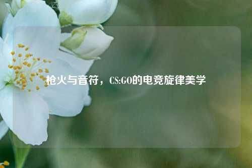 枪火与音符,CS:GO的电竞旋律美学