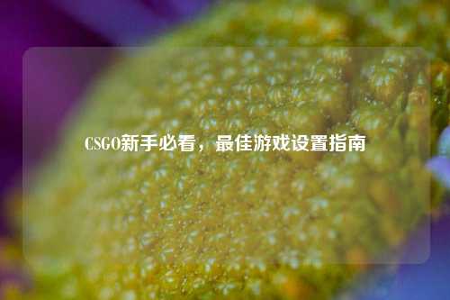 CSGO新手必看,最佳游戏设置指南