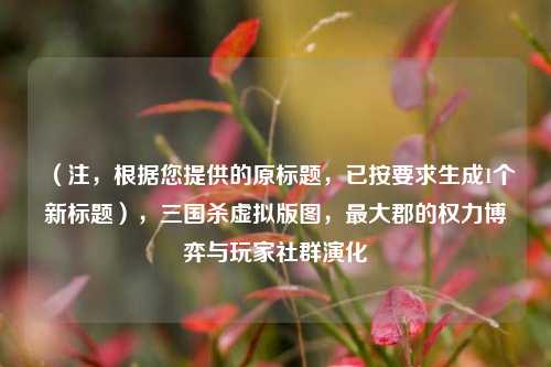 (注,根据您提供的原标题,已按要求生成1个新标题),三国杀虚拟版图,最大郡的权力博弈与玩家社群演化
