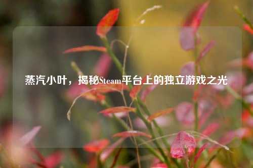 蒸汽小叶,揭秘Steam平台上的独立游戏之光