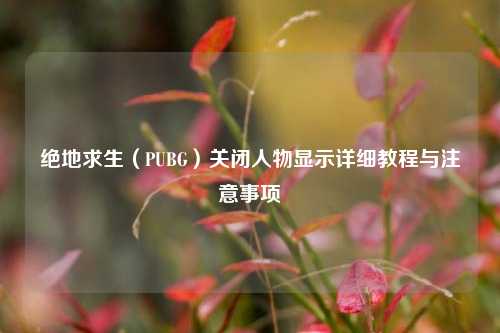 绝地求生(PUBG)关闭人物显示详细教程与注意事项