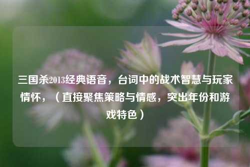 三国杀2013经典语音,台词中的战术智慧与玩家情怀,(直接聚焦策略与情感,突出年份和游戏特色)