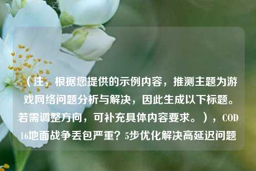 (注,根据您提供的示例内容,推测主题为游戏网络问题分析与解决,因此生成以下标题。若需调整方向,可补充具体内容要求。),COD16地面战争丢包严重?5步优化解决高延迟问题