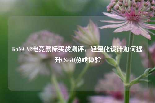 KANA V2电竞鼠标实战测评,轻量化设计如何提升CS:GO游戏体验