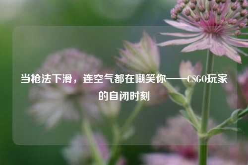 当枪法下滑,连空气都在嘲笑你——CSGO玩家的自闭时刻