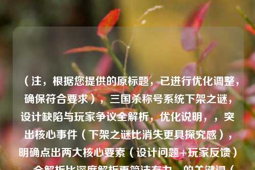 (注,根据您提供的原标题,已进行优化调整,确保符合要求),三国杀称号系统下架之谜,设计缺陷与玩家争议全解析,优化说明,,突出核心事件(下架之谜比消失更具探究感),明确点出两大核心要素(设计问题+玩家反馈),全解析比深度解析更简洁有力,的关键词(三国杀/称号系统)确保SEO延续性,如需其他风格标题,可补充说明倾向(如悬念式/数据式/情感共鸣式等)