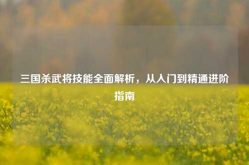 三国杀武将技能全面解析,从入门到精通进阶指南
