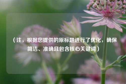 (注,根据您提供的原标题进行了优化,确保简洁、准确且包含核心关键词)
